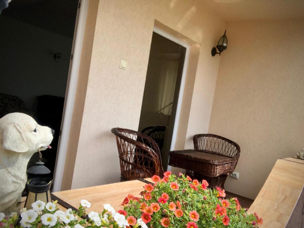Casa Paunescu Milostea 외부 사진